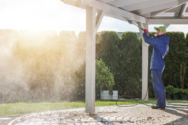 Best Roof Washing  in Woodside, PA